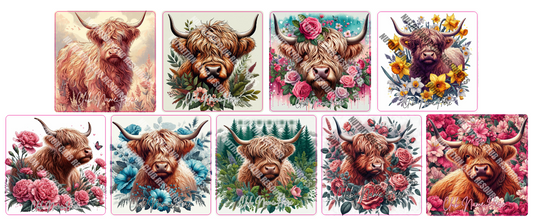 HIGHLAND COW SET #3