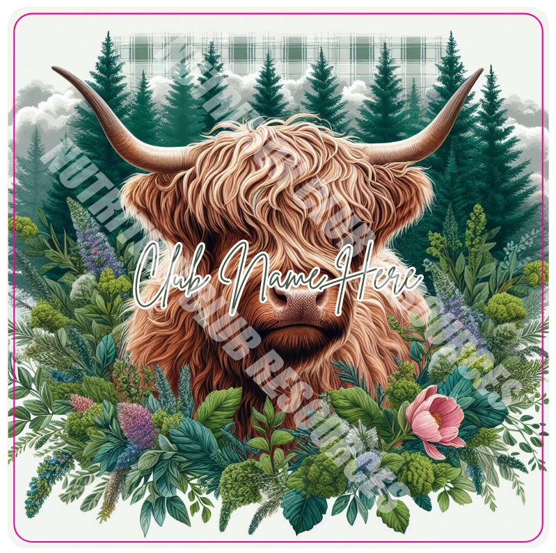 HIGHLAND COW SET #3